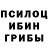 Галлюциногенные грибы мицелий Oleksandr Karmaluga