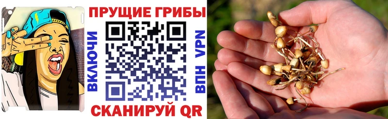 Псилоцибиновые грибы ЛСД  продажа наркотиков  Нязепетровск 